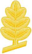 Medical Service Corps Medical Service Corps